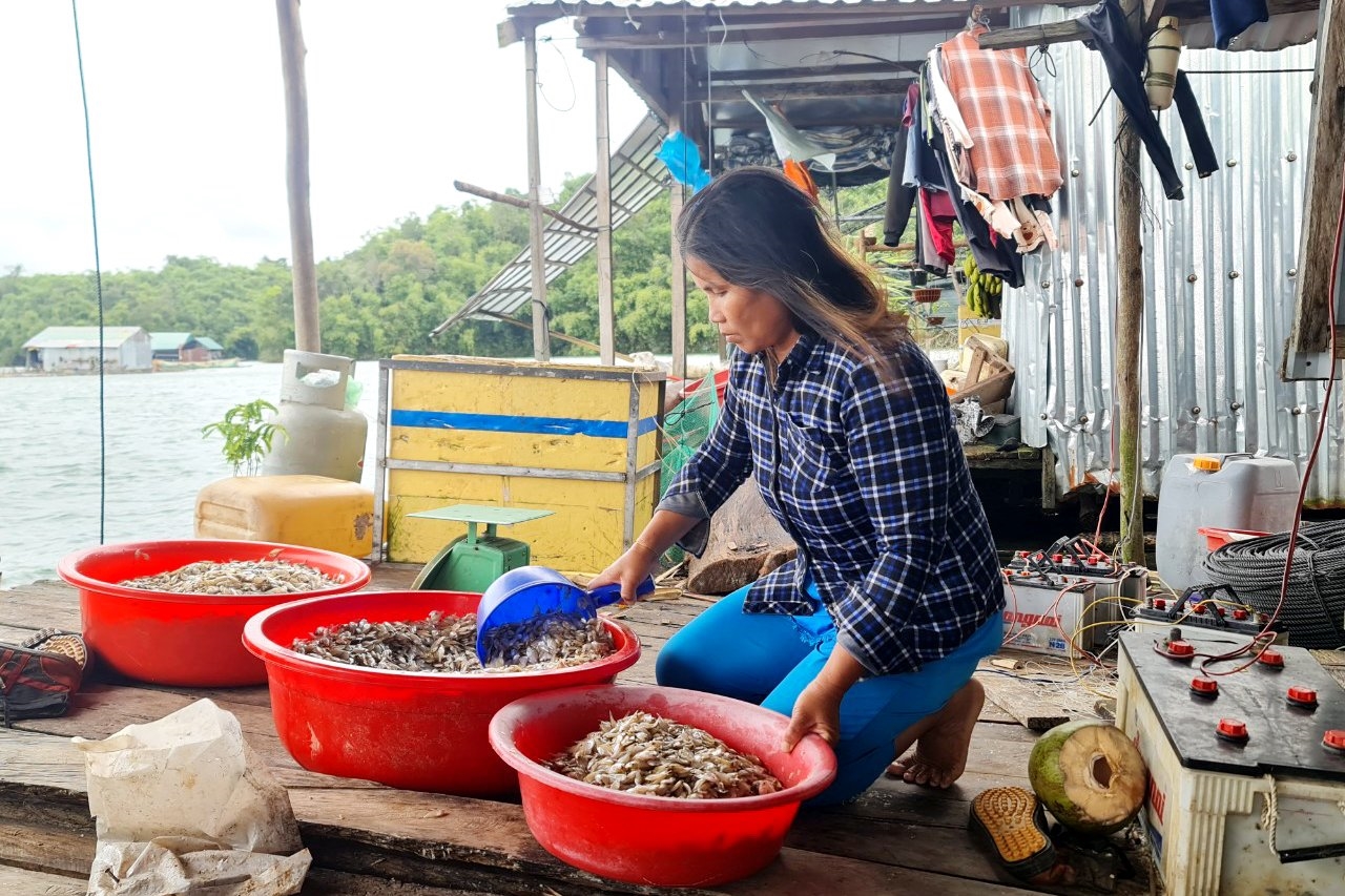 Chị Nguyễn Thị Nguyệt làm thức ăn cho cá nuôi trong lồng