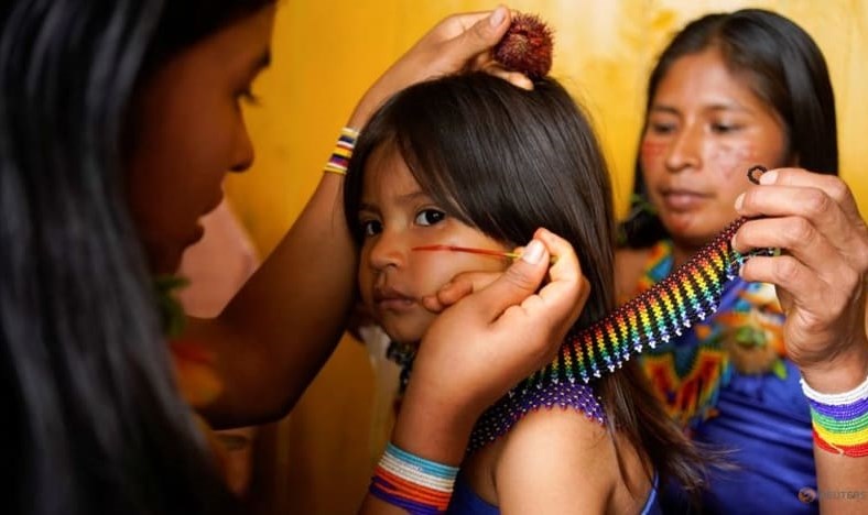 Bé gái người bản địa được vẽ lên mặt theo truyền thống để cùng tham gia phản đối việc khai thác tại rừng Amazon. 