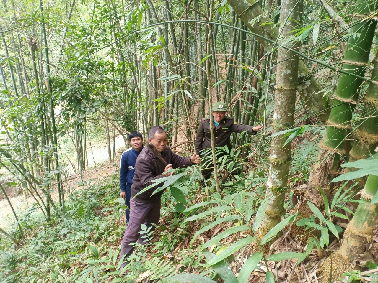 Những việc làm thầm lặng của ông Hà Văn Khuyên, bản Na Hồ, xã Sơn Điện (Quan Sơn) đã góp phần giữ vững an ninh rừng