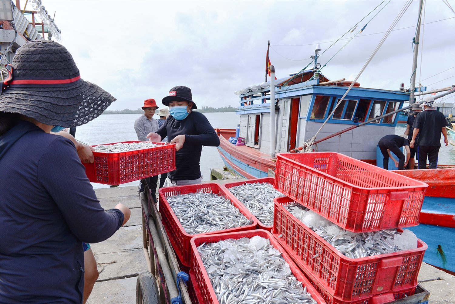 Ngư dân Triệu Lăng đưa cá về bến - Ảnh: BQT