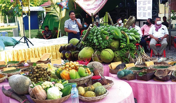 Lễ hội hạt giống truyền thống tại Battambang, Campuchia