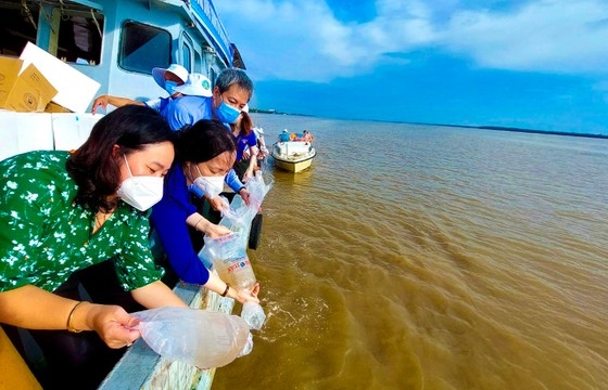 Các đại biểu thả con giống thuỷ sản tại cửa biển Trần Đề (Sóc Trăng)