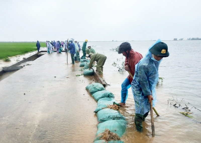 Lực lượng chức năng và người dân đang nỗ lực đắp đê ngăn ngập nước cho lúa Xuân