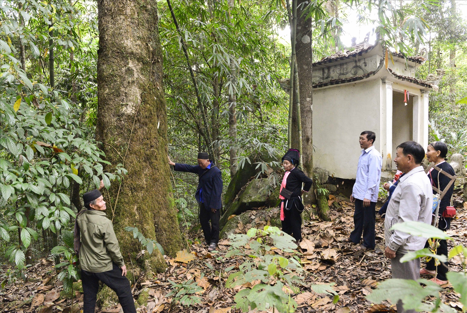 Mỗi bản làng người Dao đều có một khu rừng cấm, trước khi làm lễ cúng bản, các cao niên có uy tín sẽ vào khu rừng cấm xin phép thần rừng cho bà con được phép lấy củi phục vụ việc làm lễ cúng bản.