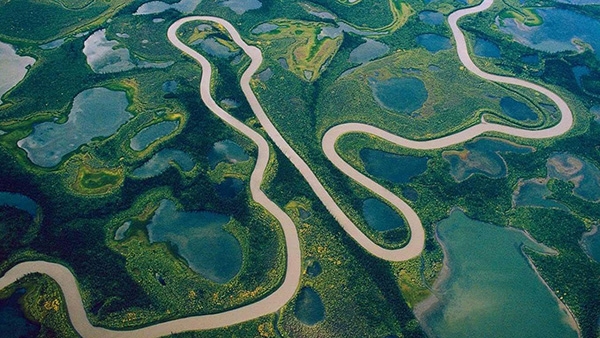 Sông Amazon có chiều dài 6.992 km nhưng không có 1 cây cầu nào bắc qua.
