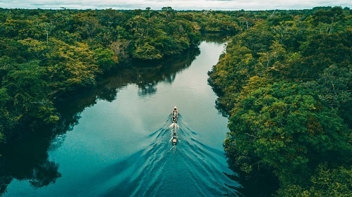 Lưu vực Amazon có rất ít đường sá để kết nối với những cây cầu. Ảnh: Pinterest.