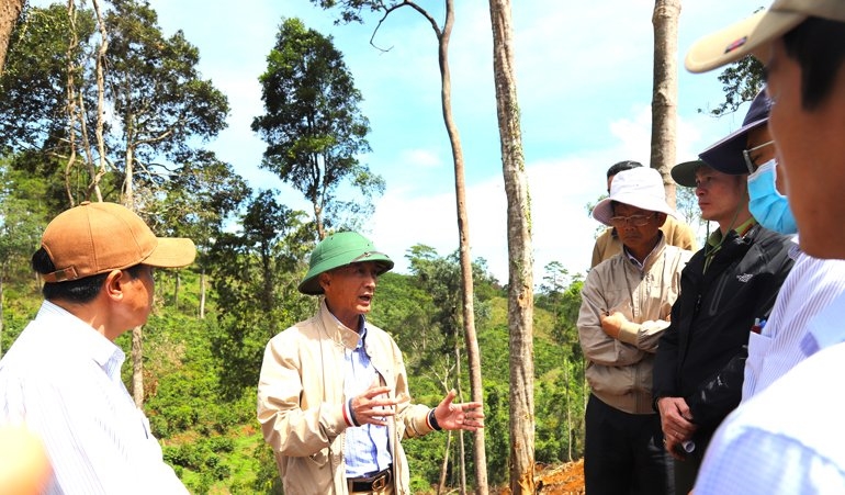  Chủ tịch UBND tỉnh Lâm Đồng (đội mũ cối xanh) kiểm tra thực tế vụ phá rừng tại Tiểu khu 613, xã Lộc Phú, huyện Bảo Lâm