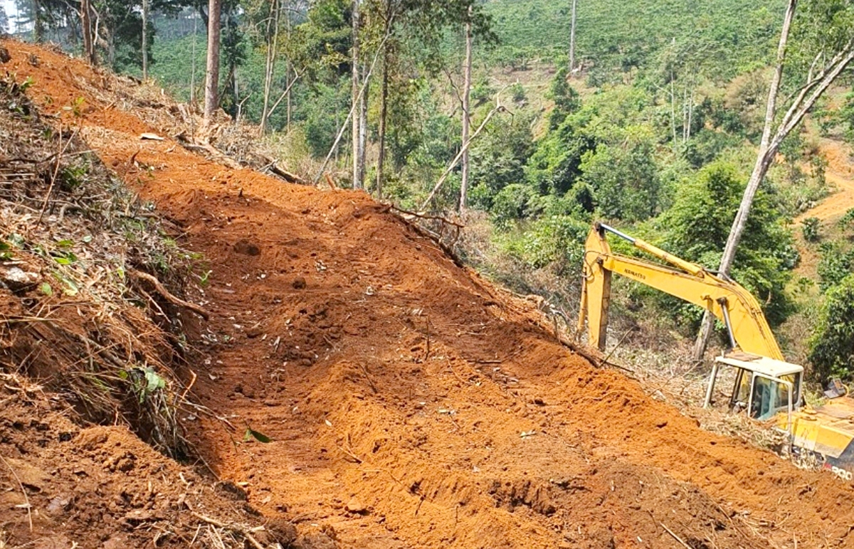 Các đối tượng đưa máy múc san gạt đất sau khi triệt hạ cây rừng