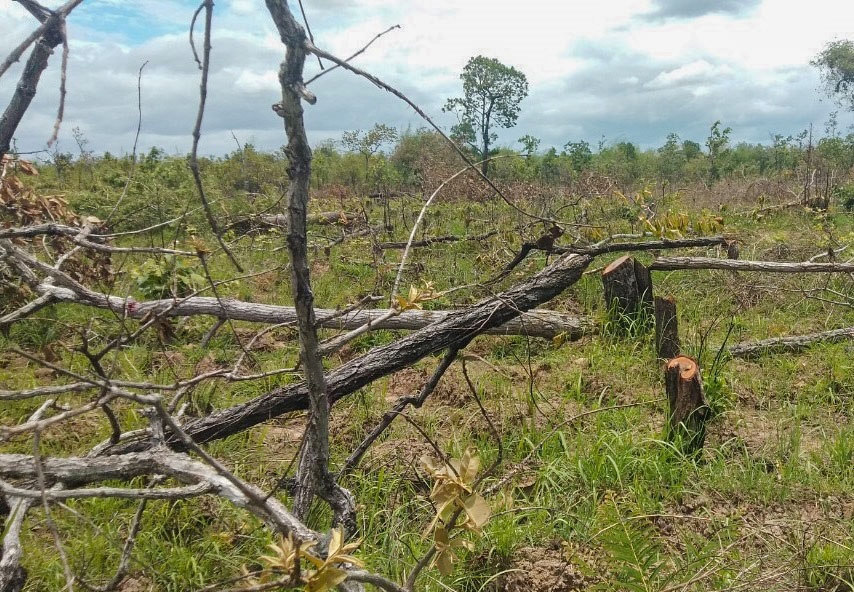 Khu vực rừng bị phá tại xã Ya Tờ Mốt, huyện Ea Súp