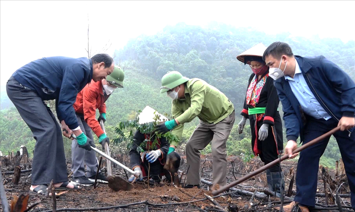 Các đảng viên tham gia Lễ phát động hưởng ứng trồng cây gỗ lớn, cây bản địa tại xã Thanh Sơn, huyện Ba Chẽ