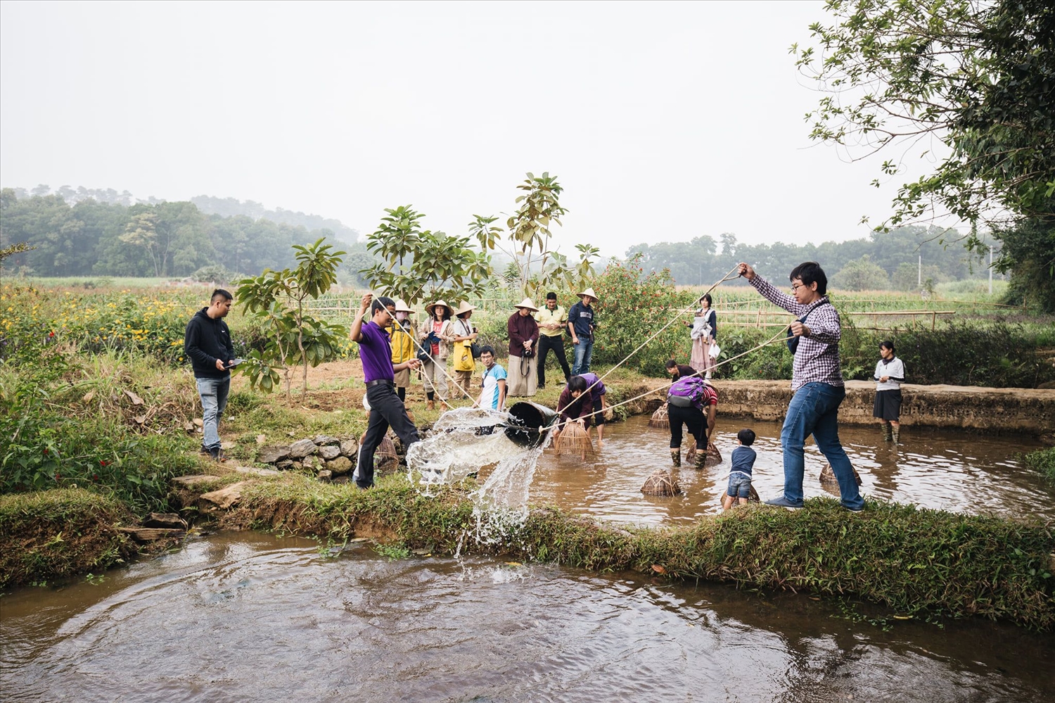 Du khách trải nghiệm du lịch nông nghiệp tại Ba Vì, thành phố Hà Nội