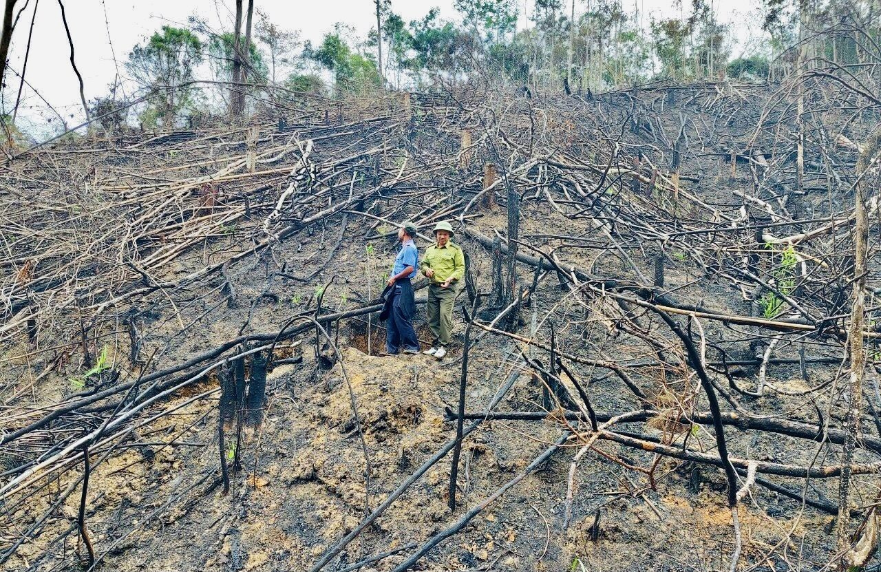 Cơ quan chức năng khám nghiệm hiện trường vụ phá gần 5000 m2 rừng.