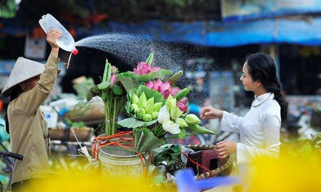 Triển lãm “Sen trong đời sống văn hóa Việt” được tổ chức từ ngày 16 - 19/4 tại Làng Văn hóa - Du lịch các dân tộc Việt Nam