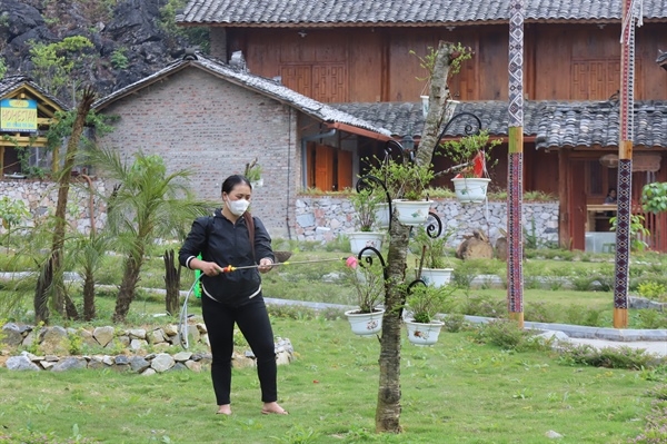 Các hộ dân tại Làng văn hóa du lịch cộng đồng dân tộc Mông chăm sóc hoa phục vụ khách du lịch chụp ảnh lưu niệm
