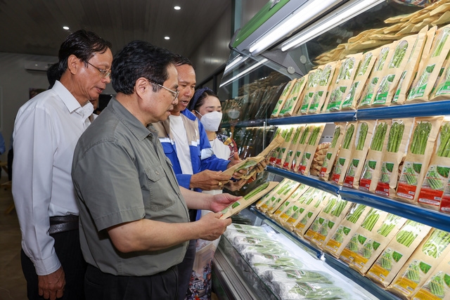 Thủ tướng đánh giá mô hình trồng măng tây của trang trại Tiên Tiến đã khai thác được tiềm năng, lợi thế so sánh của tỉnh Ninh Thuận. Ảnh: VGP/Nhật Bắc