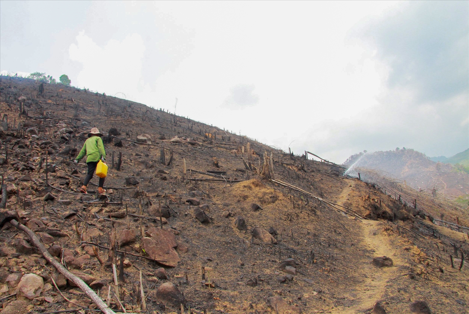 Diện tích rừng rất lớn ở xã Đắk Phơi, huyện Lắk bị phá