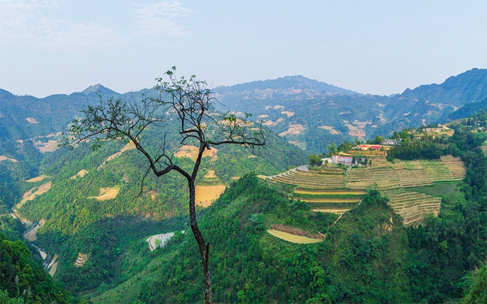 Giống như những vùng núi khác của Việt Nam, Mẫu Sơn cũng sở hữu nhiều vạt ruộng bậc thang tuyệt đẹp dọc theo bên đường, quanh các sườn núi, bản làng