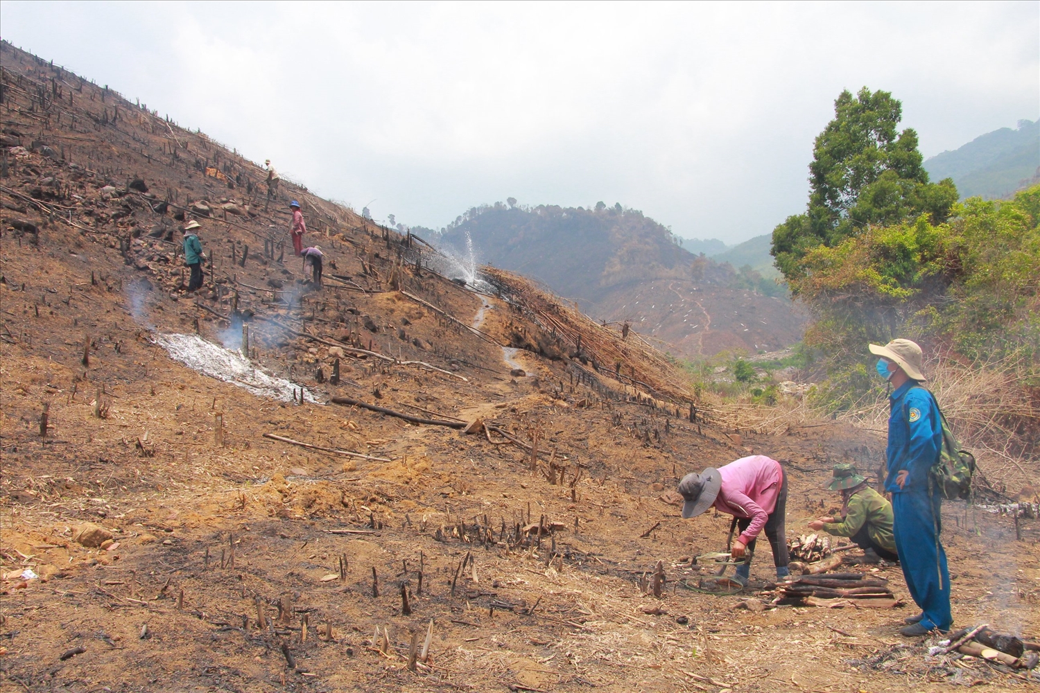 Cán bộ bảo vệ rừng vận động nhóm người dân dừng việc phá, đốt rừng