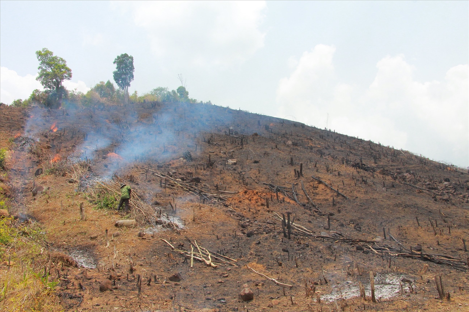 Người dân liên tục phá rừng chiếm đất dẫn đến diện tích lớn rừng bị phá