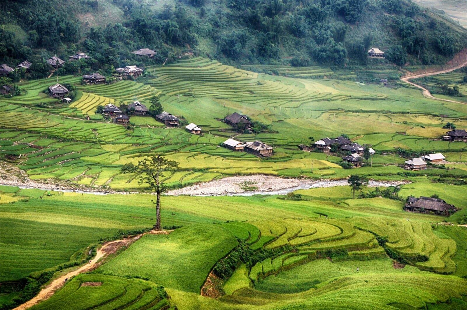 Bản Lìm Mông ở chân đèo Khau Phạ (Mù Cang Chải, Yên Bái)