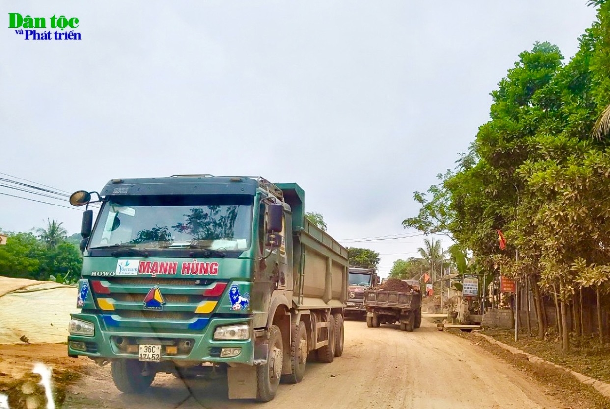 Những chiếc xe tải chất đầy đất trên thùng tự do lưu thông, di chuyển từ tỉnh lộ 514 (khu vực huyện Như Thanh) đưa đi tiêu thụ