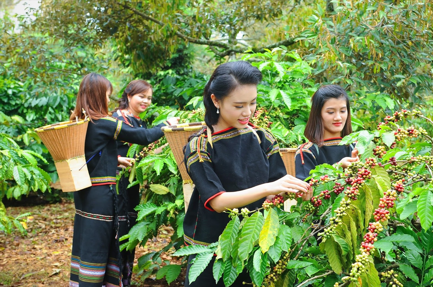 Bỉ là thị trường xuất khẩu cà phê lớn thứ 2 của Việt Nam