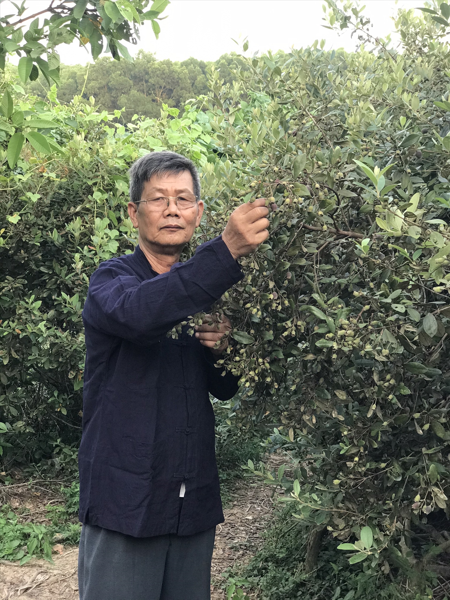 Ông Lục Văn Sáu chăm sóc vườn cây của gia đình