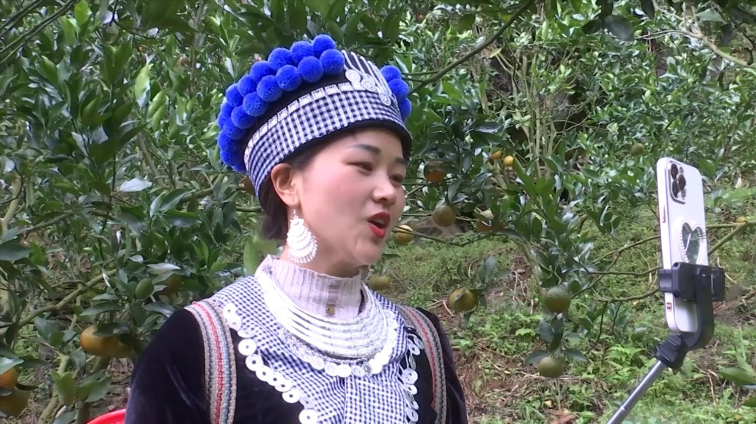 Cô gái Ma Thị Chú giới thiệu và quảng bá sản phẩm quýt Mường Khương đến đông đảo khách hàng trong cả nước bằng hình thức Livestream