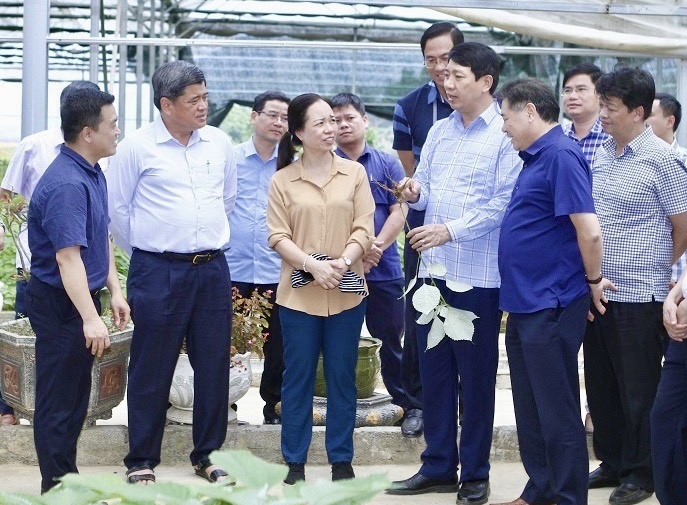 Ông Trần Thanh Nam, Thứ trưởng Bộ NN&PTNT cùng các đại biểu thăm vùng sản xuất cây gai xanh nguyên liệu tại xã Cẩm Tú (Cẩm Thủy)