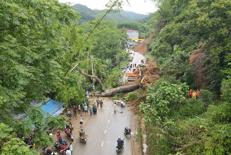 Một gốc cây bị bật gốc, đổ chắn ngang gây tắc đường 258 từ huyện Bạch Thông đi huyện Ba Bể