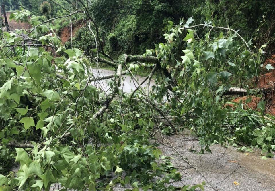 (TIN) Những thiệt hại ban đầu do mưa lớn ở Lạng Sơn 3