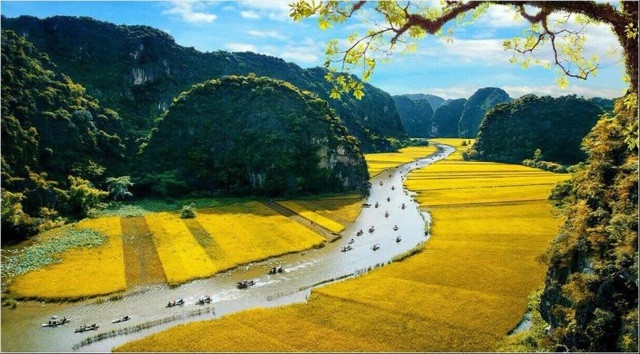 Tuần du lịch "Sắc vàng Tam Cốc - Tràng An" năm 2022