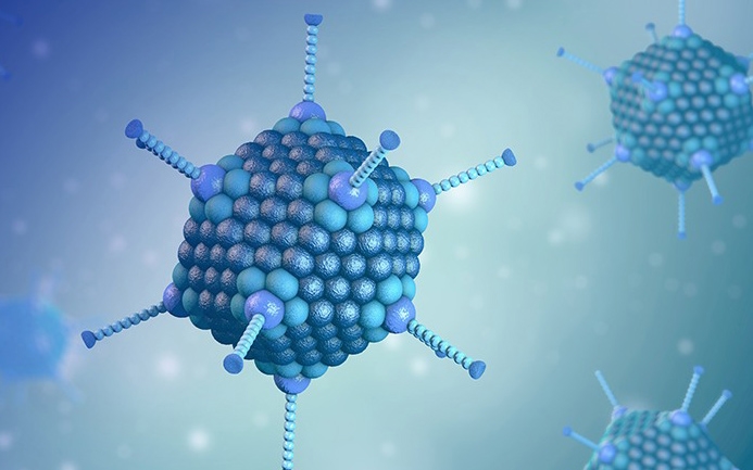 Adenovirus hiện là tác nhân được nghi ngờ gây ra bệnh viêm gan bí ẩn. (Ảnh: Shutterstock)