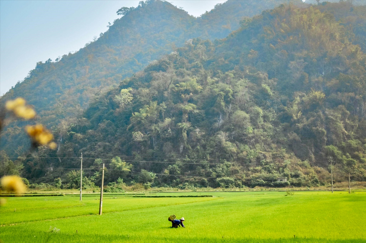 Người dân bản Pa Xa Lào chủ yếu sống bằng nghề nông
