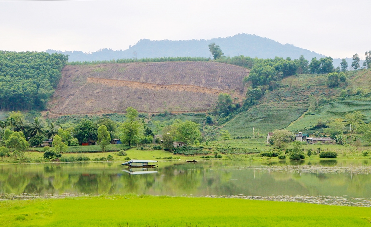  Mô hình gia trại sinh thái “Trên trồng chè, keo và thả gà dưới thả cá” của người Thái ở huyện Quỳ Châu (Nghệ An)