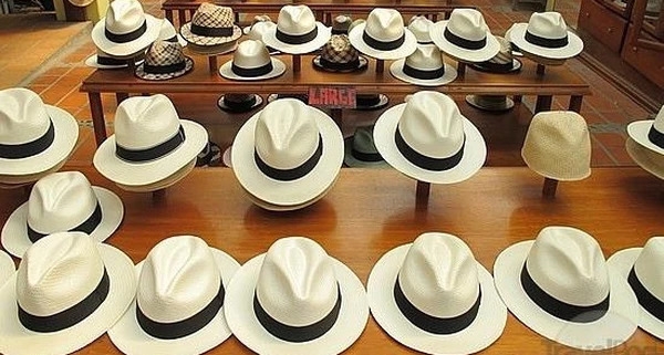 Những chiếc mũ phớt Panama được bày bán trong một cửa hàng