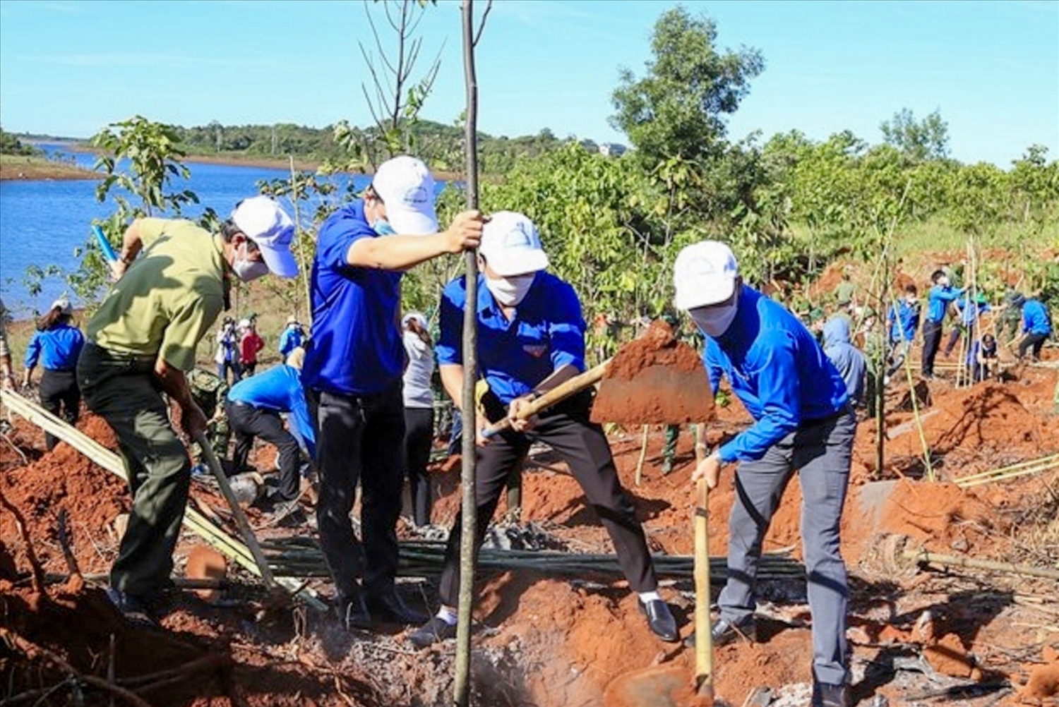 Phong trào trồng cây đang lan tỏa trên địa bàn tỉnh Đắk Nông