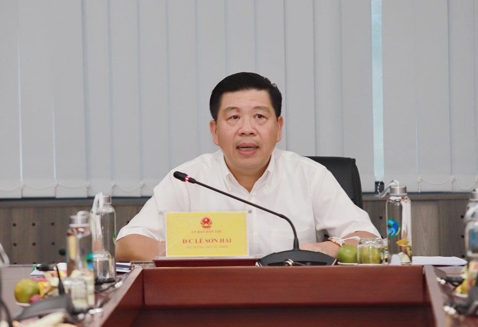 Thứ trưởng, Phó Chủ nhiệm Lê Sơn Hải - Chủ tịch Hội đồng KH&CN của UBDT chủ trì phiên họp