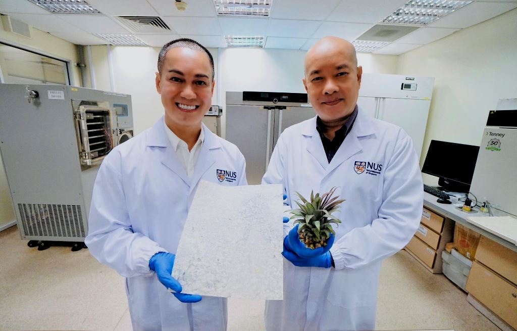 PGS Dương Minh Hải (bên trái) và PGS Phan Toàn Thắng, Đại học NUS, công bố nghiên cứu chất giảm béo từ lá dứa. Ảnh: NUS