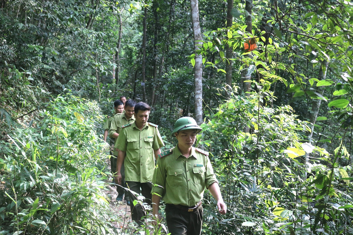 Phó Thủ tướng Lê Văn Thành yêu cầu các Bộ ngành, địa phương tăng cường công tác quản lý bảo vệ rừng, xử lý tình trạng phá rừng, lấn chiếm đất rừng trái pháp luật.