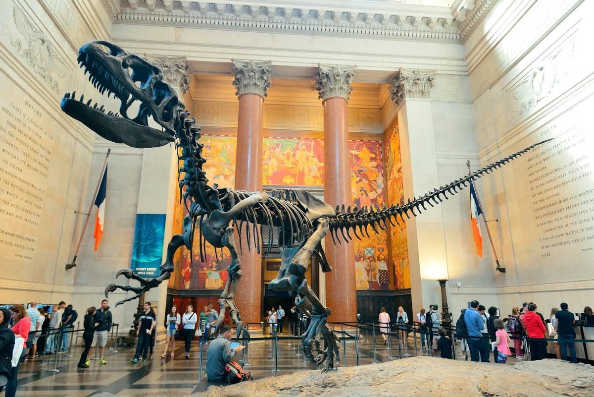 Bộ xương khủng long tại Bảo tàng Lịch sử Tự nhiên quốc gia Hoa Kỳ