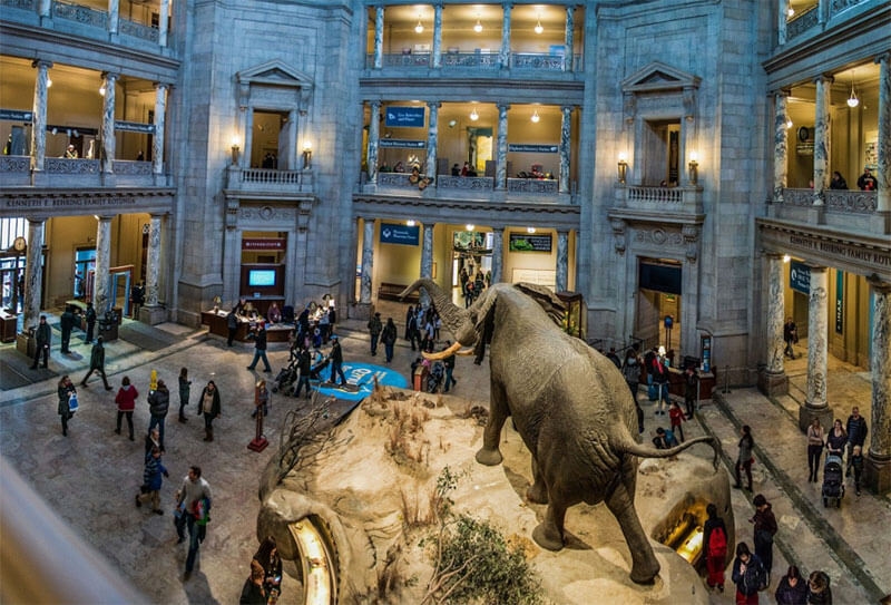 Hình ảnh khách du lịch đang trải nghiệm các chương trình triển lãm tại Bảo tàng.