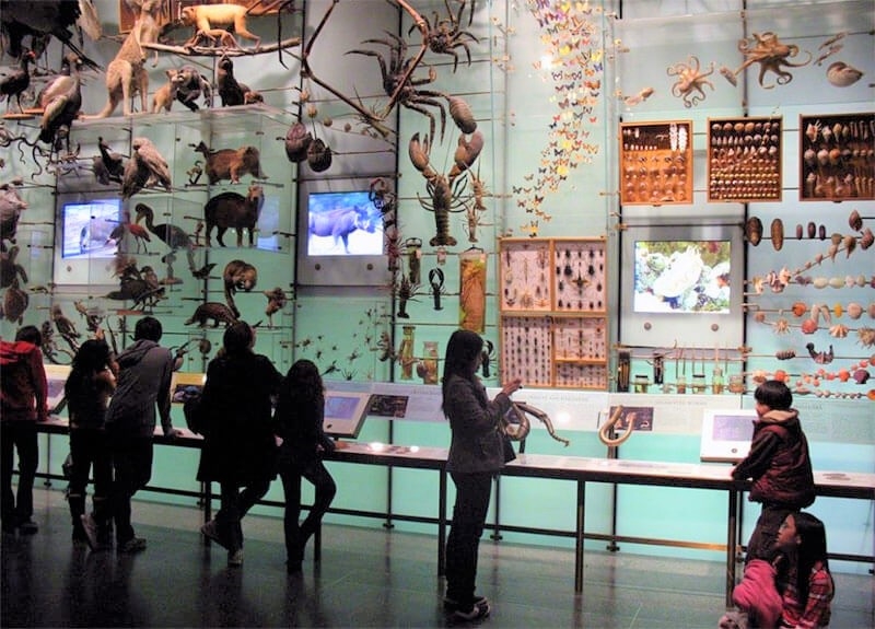 Du khách tham quan, tìm hiểu những hiện vật trưng bày trong Bảo tàng.