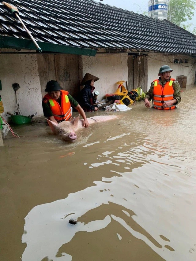 Vĩnh Phúc: Mưa lớn gây ngập úng tại nhiều địa bàn trong tỉnh 4