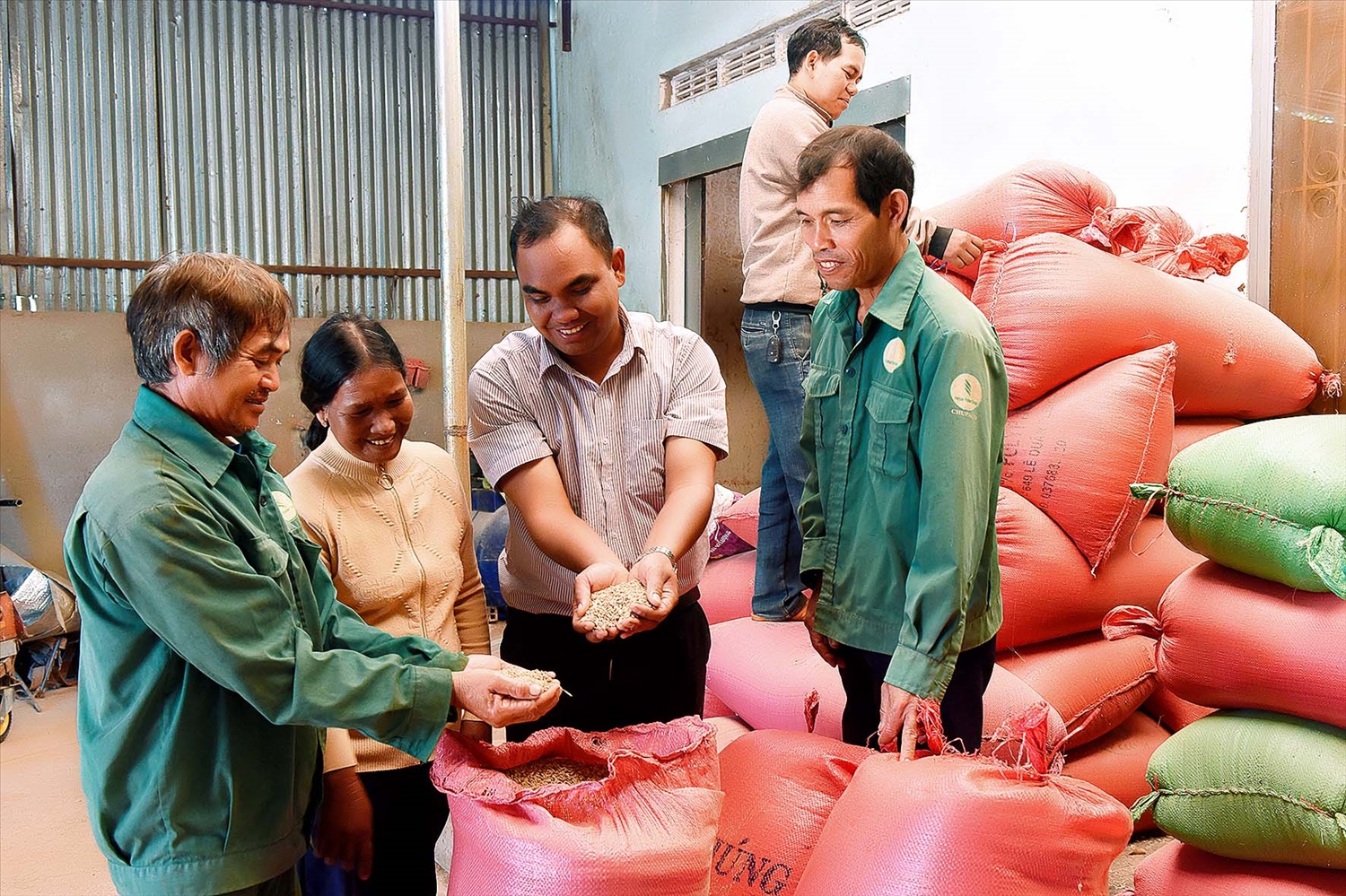 Người Gia Rai chung tay xây dựng thương hiệu gạo A Sanh đạt sản phẩm OCOP 3 sao cấp tỉnh
