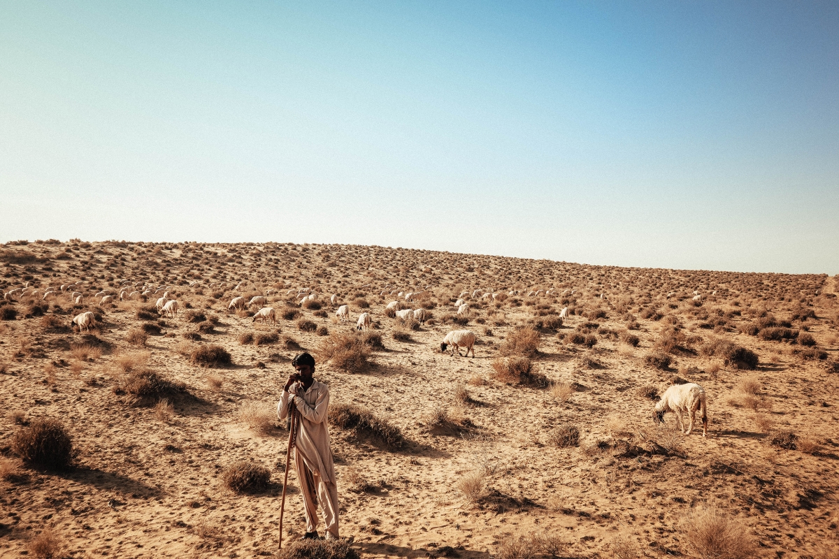 Khám phá sa mạc Thar trên lưng lạc đà | Báo Dân tộc và Phát triển