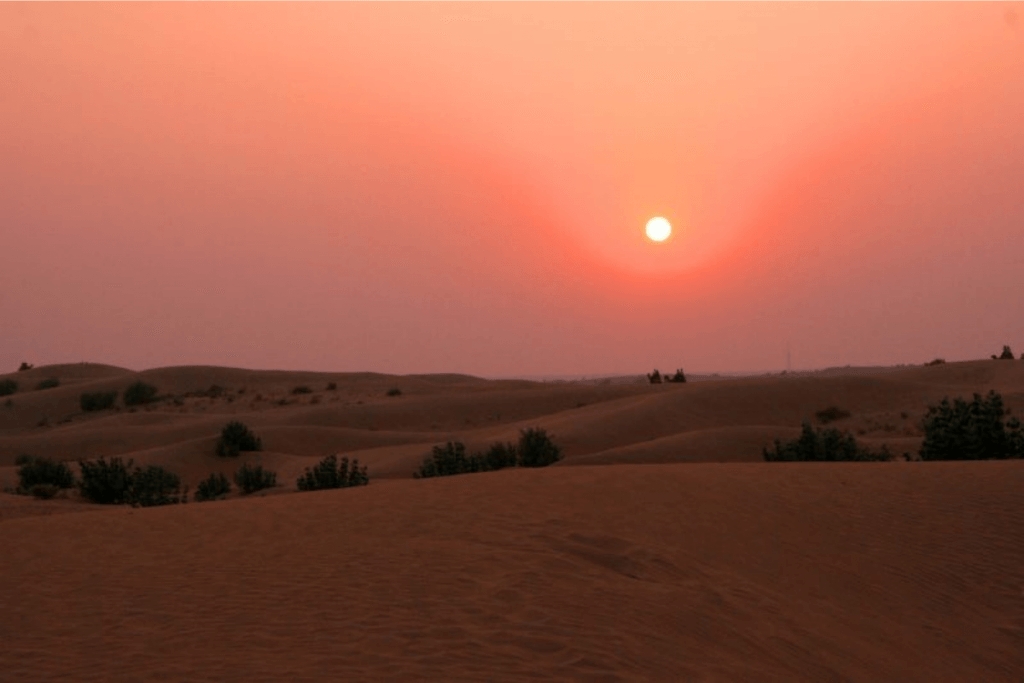 Đón bình minh ở sa mạc Thar
