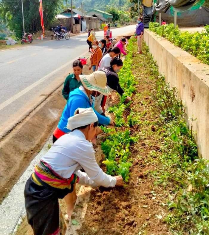 Phong trào trồng hoa thay thế cỏ dại ở bản Chè, xã Trung Tiến, huyện Quan Sơn