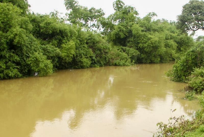Sông Cầu Chày qua các huyện Thọ Xuân và Yên Định đã lên mức Báo động I