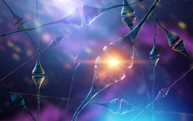 Tế bào thần kinh trong não người. Ảnh: Getty Images
